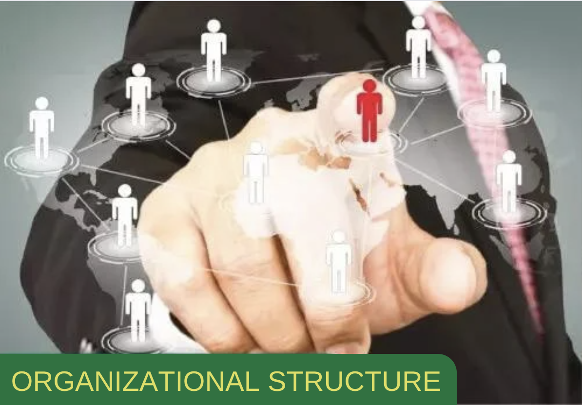 organizational structure